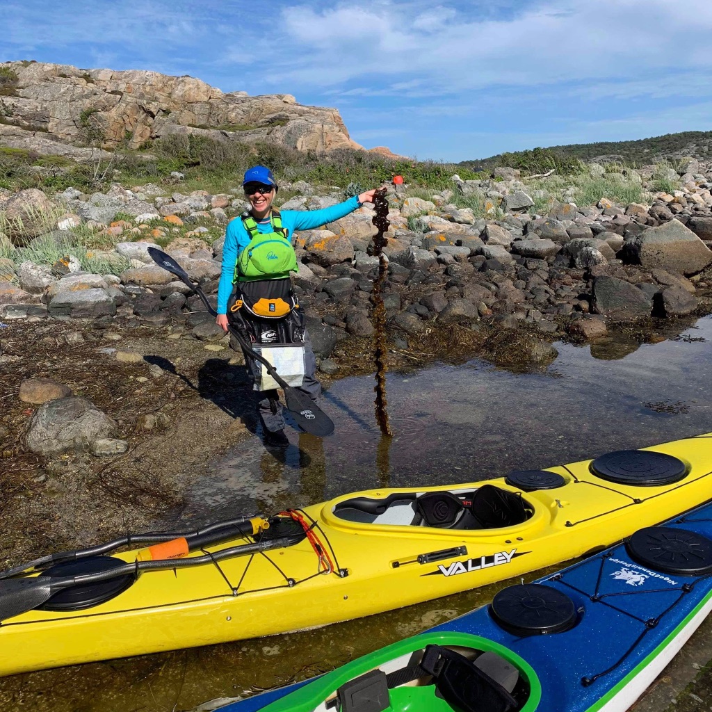 Familjepaddling i Grebbestad 3 timmar // Family kayak trip in Grebbestad  3 hours