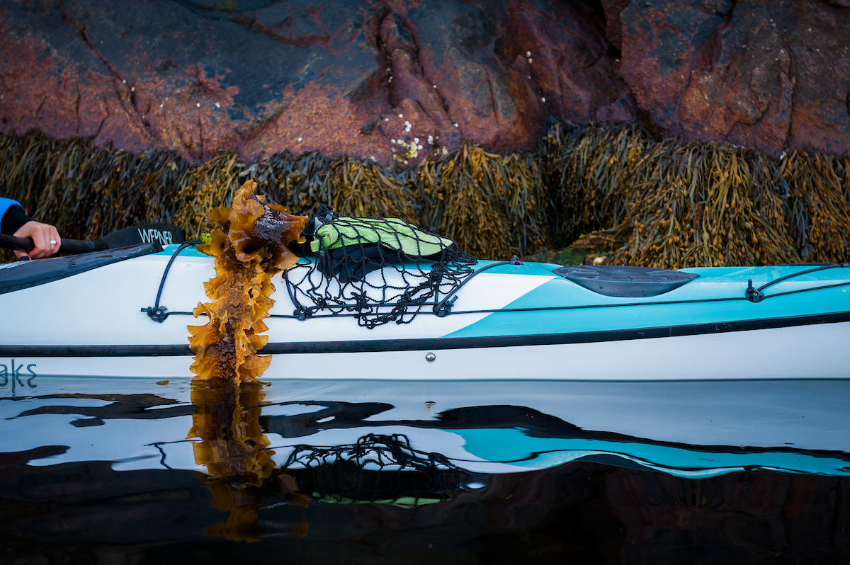 Tångpaddling & snorkel safari / Sea Kayak Sea Weed Safari