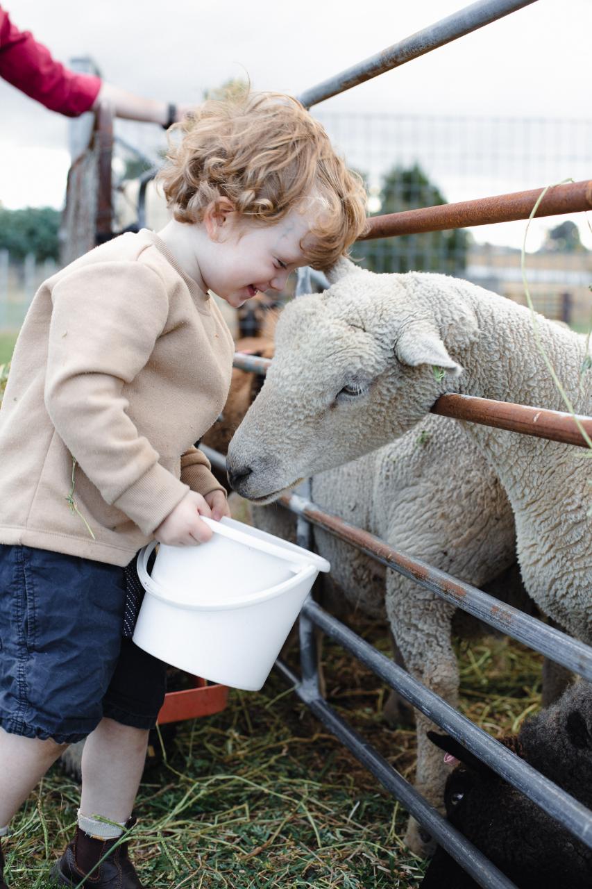 Farm tour
