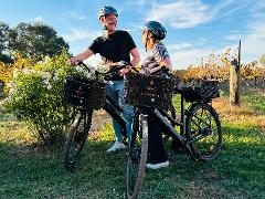 1/2 day E-bike hire