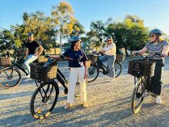 Full day E-bike hire