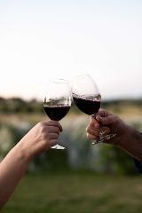 A Journey Through Time - private tasting with winemaker