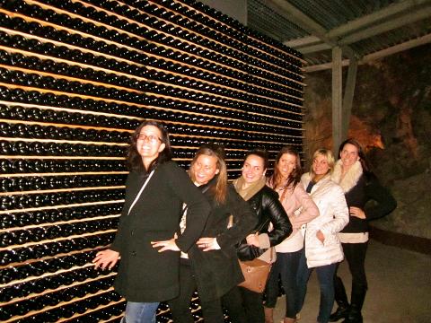 Wine & Cava tasting in Penedès Wine growing region, Tour from Barcelona