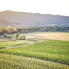 WANDER & WINE IN THE VINES