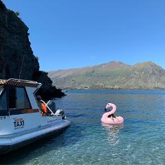 Lake Wanaka Beaches Flamingo Charter