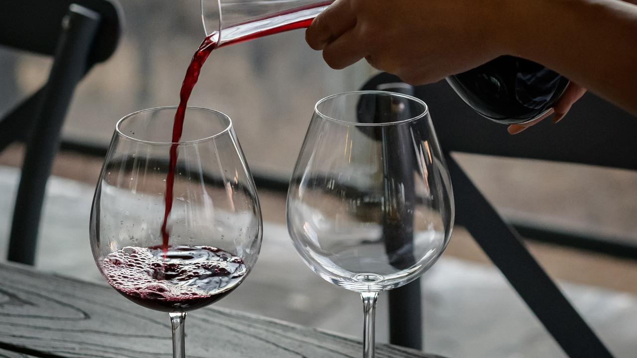 Pick of the Pinot Masterclass