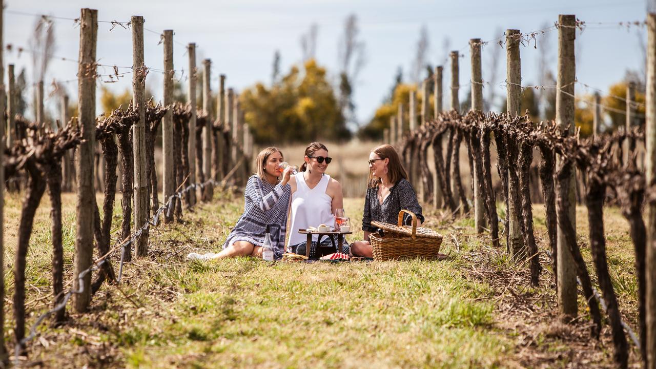 Premium Picnic Amongst the Vines