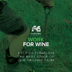 Work For Wine