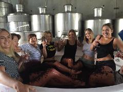 Grape Stomping - Blue metal vineyard Berrima BOOKING available March - May