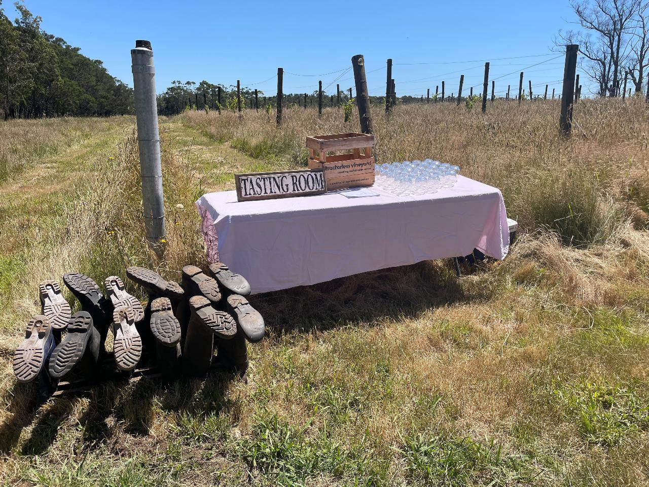 Regenerative Farming Talk & Tour