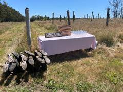 Regenerative Farming Talk & Tour