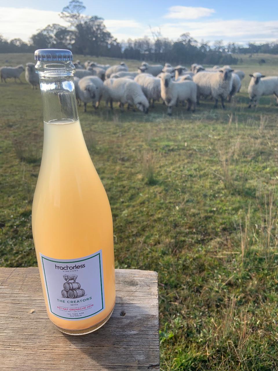 Virtual sparkling wine series - Session 1 Pet Nat & Zero Dosage