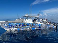 Offshore Fishing Charter with Captain Scott King aboard a 37' Freeman Catamaran - Yellowfin Tuna, Wahoo, Mahi-Mahi, etc. in Venice, LA. 2500.00 + Fuel.. Fuel avg. is 850.00 