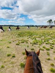 1 Hour - Group Horse Riding Tour - Farm Experience - Woodlands Lodge (for 4 or more people)