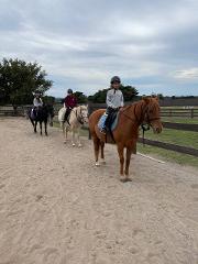 Introduction to Trail Riding - Arena and Farm Experience - Woodlands Lodge