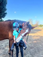 Learn to Horse - Own your own horse for a half day!
