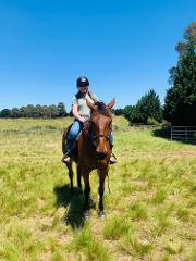 1 Hour - Private Horse Riding Tour for 1 - Farm Experience - Woodlands Lodge
