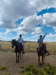 1 Hour - Private Horse Riding Tour for 2 - Farm Experience - Woodlands Lodge