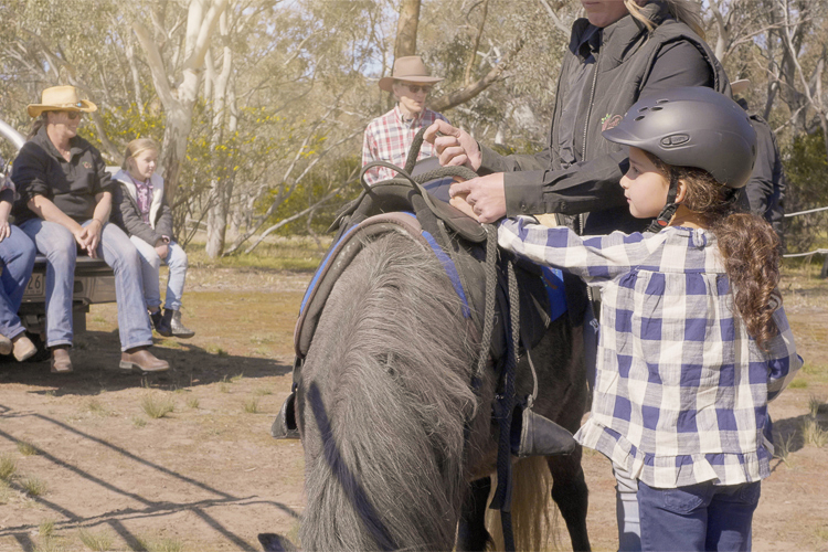 Pony Ride - 15 Min - 10x session - Woodlands Historic Park