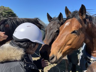 Equine Assisted Activity - Woodlands Lodge