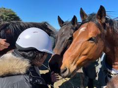 Equine Assisted Activity - Woodlands Lodge
