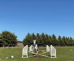 Show Jumping Clinic