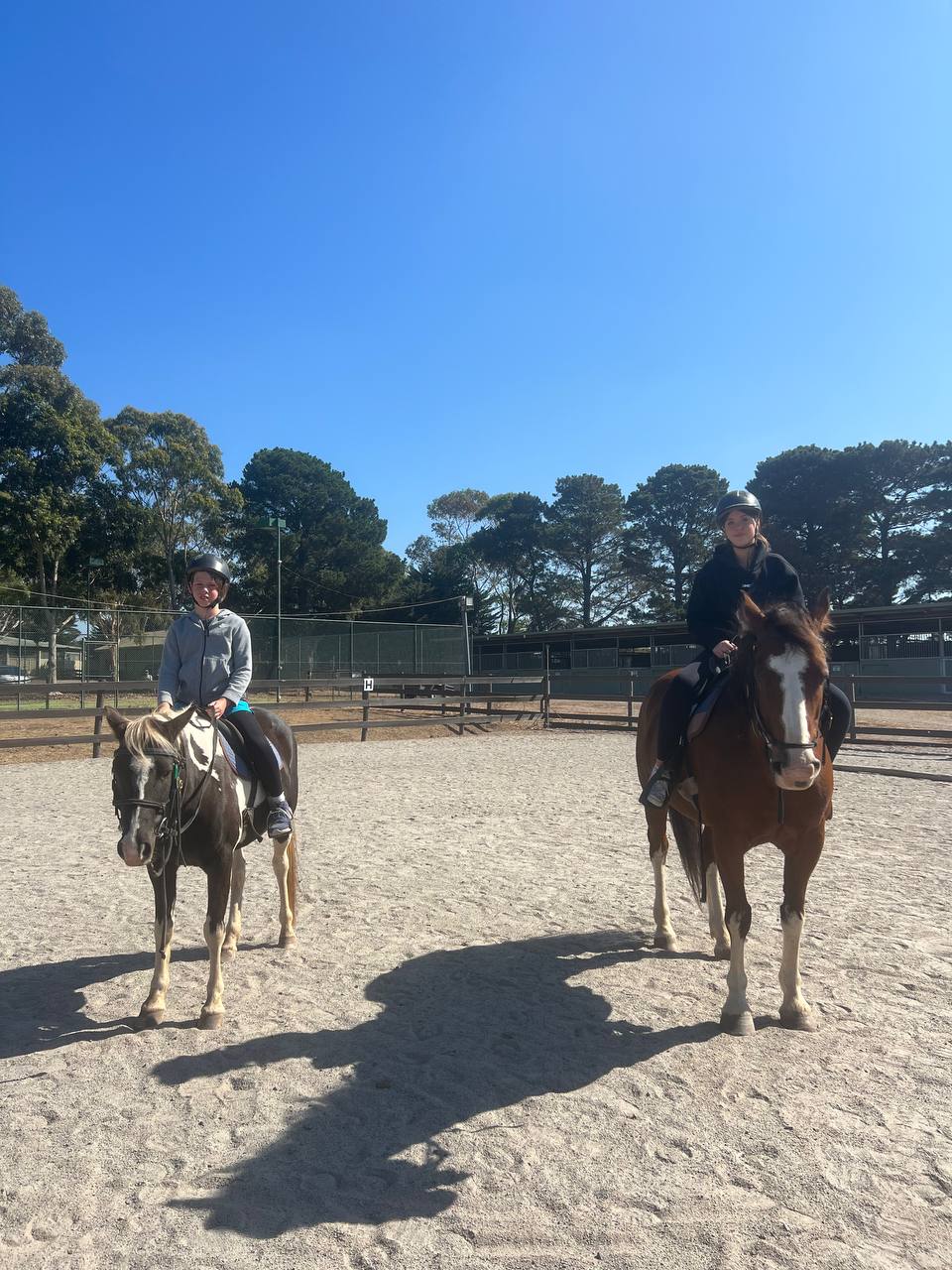 50min Semi-Private Lesson - 10 Session Term