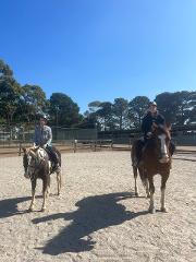 50min Semi-Private Lesson - 10 Session Term