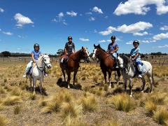  1 Hour - Private Horse Riding Tour for 4 - Farm Experience - Woodlands Lodge