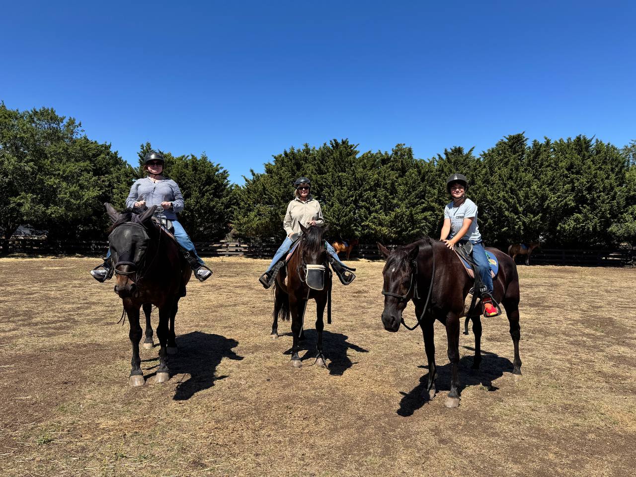 1 Hour - Private Horse Riding Tour for 3 - Farm Experience - Woodlands Lodge