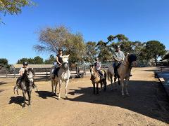 50min Group Riding Lesson