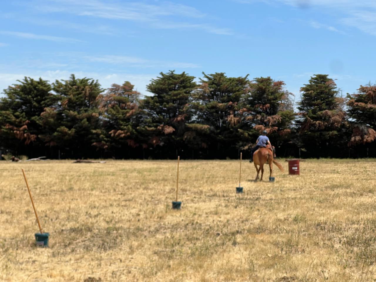 Mounted Games Clinic