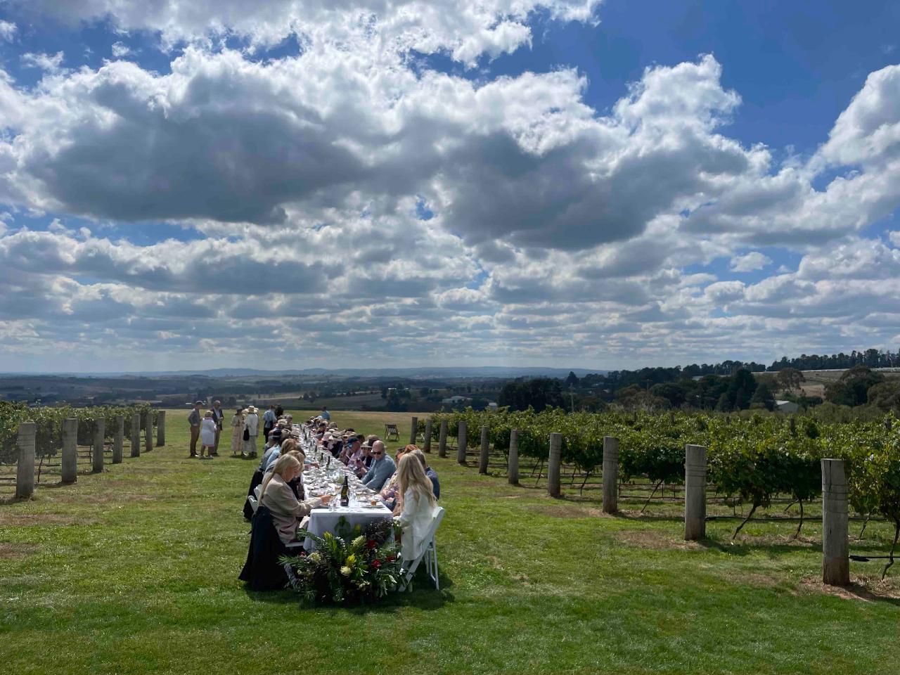 Printhie Wines Harvest Lunch in the Vines