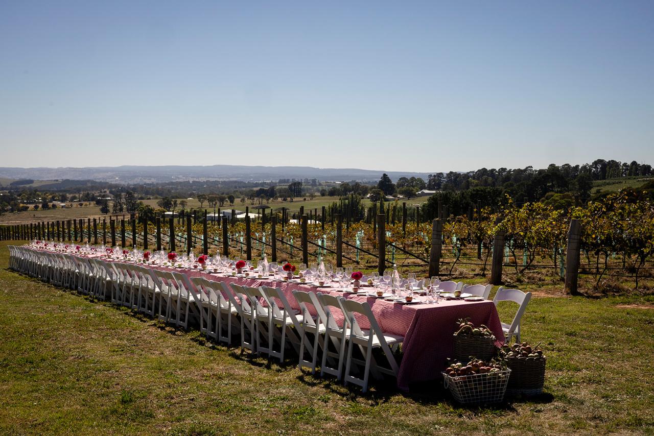 Printhie Wines Harvest Lunch in the Vines