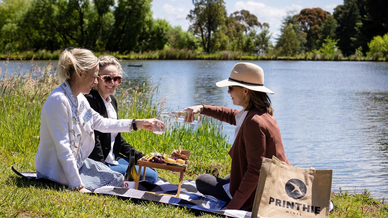 Printhie Picnic for 2