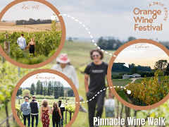 Pinnacle Wine Walk - 17th October 2026