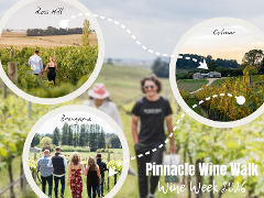 Pinnacle Wine Walk - 17th October 2026