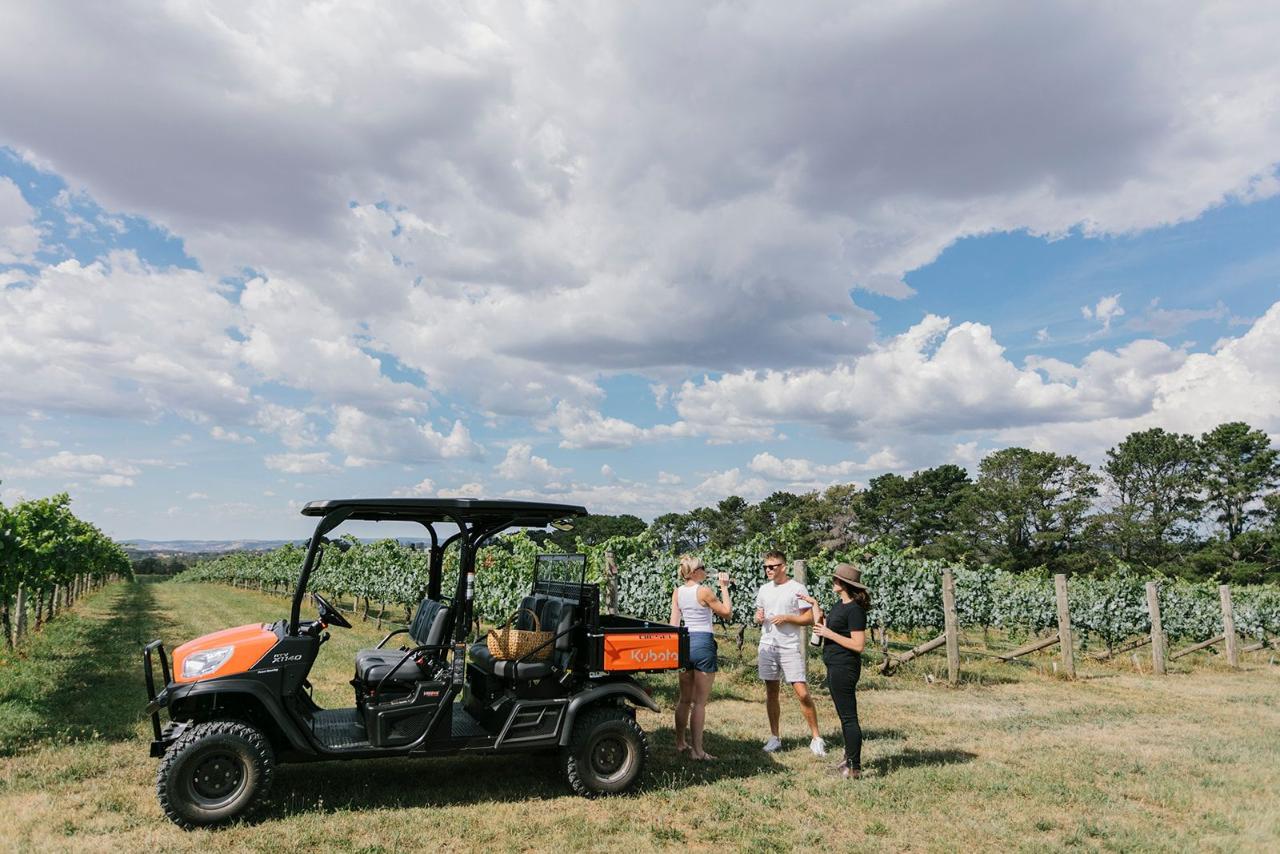 Tour and Taste - ATV Tour, Sensory Wine Experience and Cheese Pairing