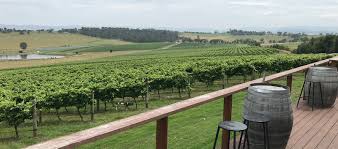 Full Day Wine Tour Stanthorpe