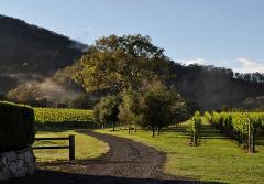 Canungra Valley Wine Tour - Private Hire 