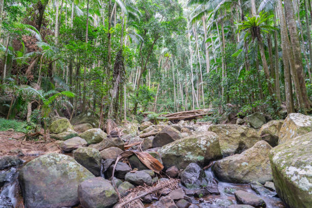 Gold Coast Departure  - Explore Mt Tamborine  