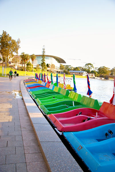 Paddleboat on the Torrens