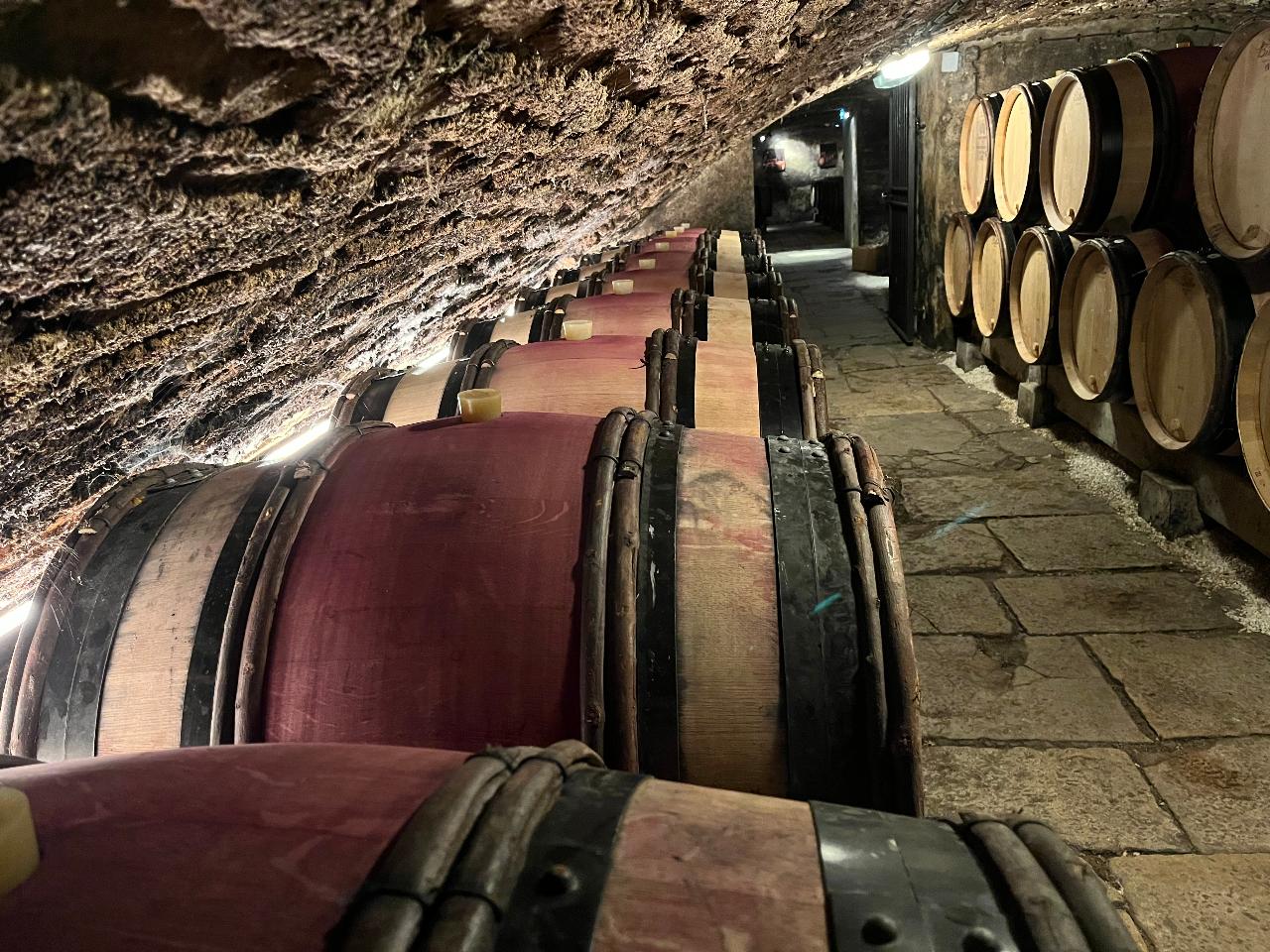 Burgundy Private wine tour & tasting  including two local wineries in Cote de Nuits