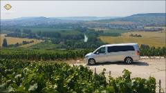 Champagne Day Tour with Tastings: three family wineries & lunch