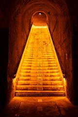 Private tour in Champagne with Veuve Clicquot and a local winery