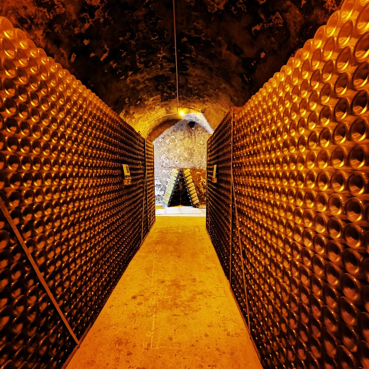 France Intense Group: Champagne Day Tour: Veuve Clicquot, Local Winery & Lunch — Champagne — Reims, Épernay & the Côte des Blancs - Photo 5