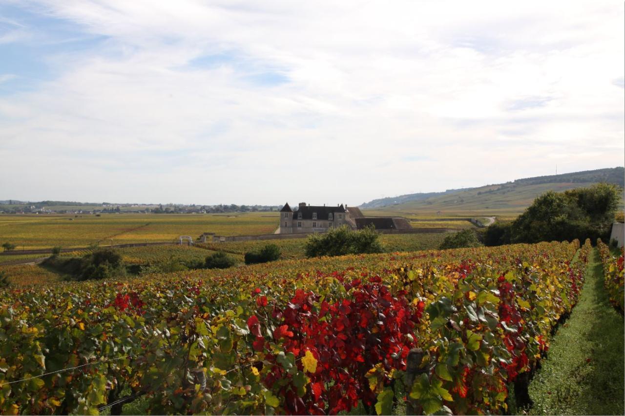 Actividades Turísticas en Beaune