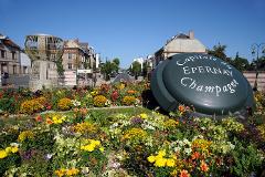 Private tour in Champagne with Moet et Chandon and a local winery