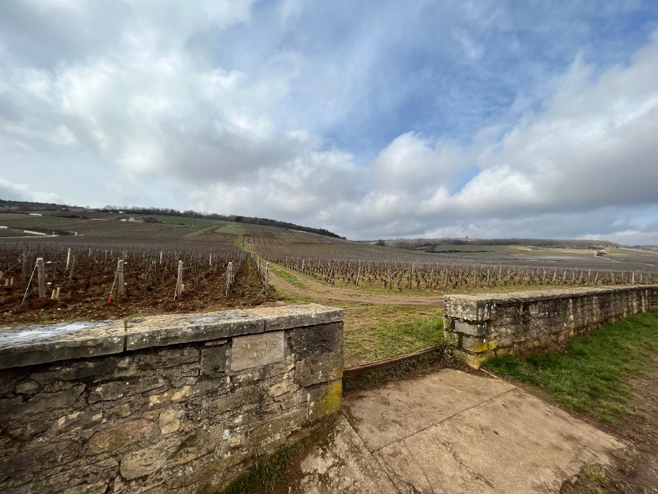France Intense Group: Day tour in Burgundy with 14 wine tastings at local wineries — Burgundy — Côte d'Or & Côte Chalonnaise - Photo 8