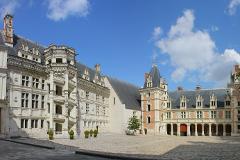 Loire Valley Private Tour: Chateaux of Blois, Cheverny & Chambord, Organic Wine tasting